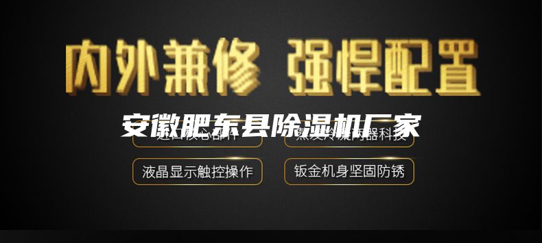 安徽肥東縣除濕機廠家