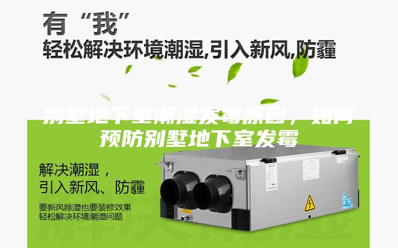 別墅地下室潮濕發霉原因，如何預防別墅地下室發霉