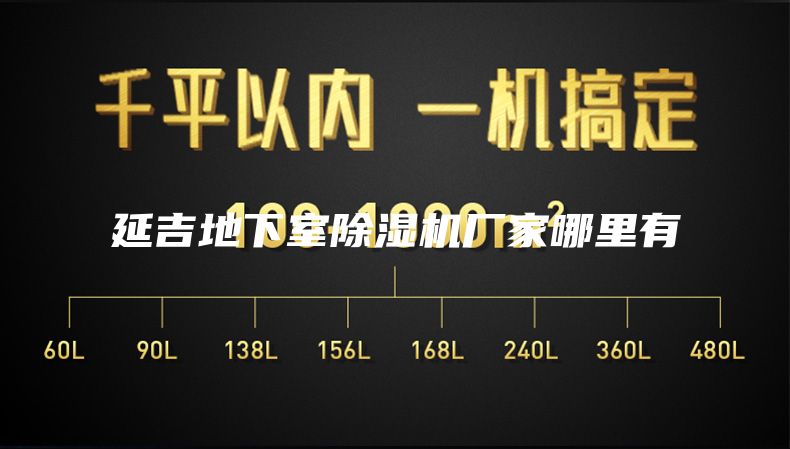 延吉地下室除濕機(jī)廠家哪里有