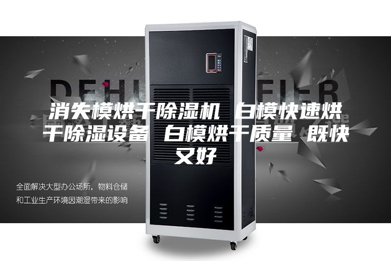 消失模烘干除濕機(jī) 白?？焖俸娓沙凉裨O(shè)備 白模烘干質(zhì)量 既快又好