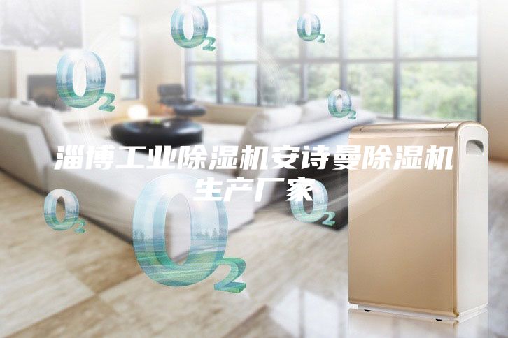 淄博工業(yè)除濕機(jī)安詩(shī)曼除濕機(jī)生產(chǎn)廠家
