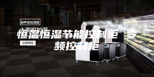 恒溫恒濕節(jié)能控制柜 變頻控制柜
