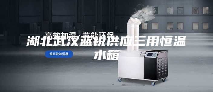 湖北武漢藍(lán)銳供應(yīng)三用恒溫水箱