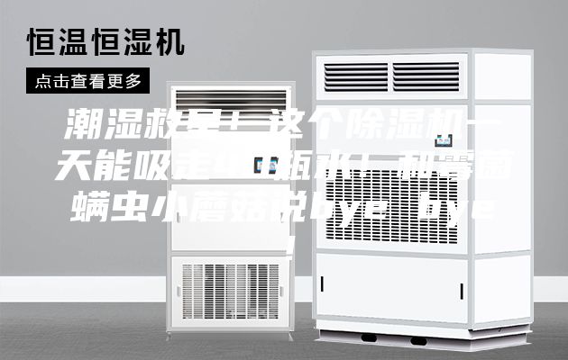 潮濕救星！這個(gè)除濕機(jī)一天能吸走40瓶水！和霉菌螨蟲小蘑菇說bye bye！