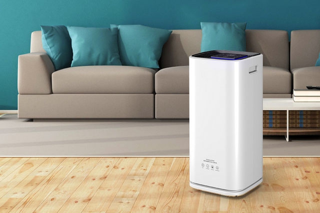 梅雨季節如何保持狗狗身體干燥？