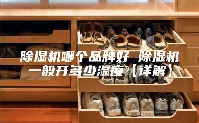 除濕機(jī)哪個(gè)品牌好 除濕機(jī)一般開多少濕度【詳解】