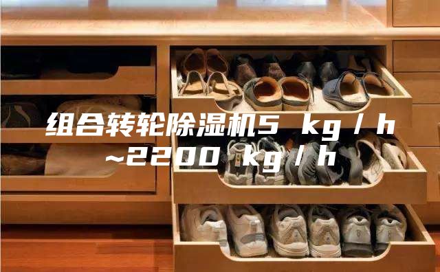 組合轉(zhuǎn)輪除濕機(jī)5 kg／h~2200 kg／h
