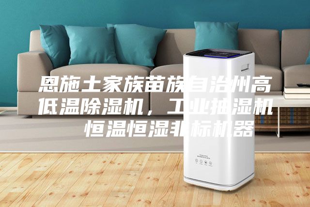 恩施土家族苗族自治州高低溫除濕機，工業抽濕機  恒溫恒濕非標機器