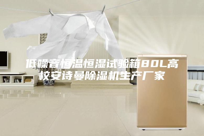 低噪音恒溫恒濕試驗(yàn)箱80L高校安詩(shī)曼除濕機(jī)生產(chǎn)廠家