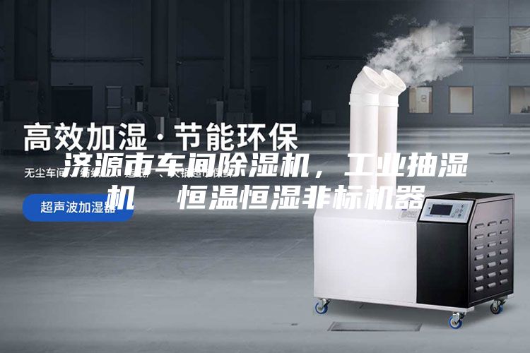 濟源市車間除濕機，工業(yè)抽濕機  恒溫恒濕非標機器