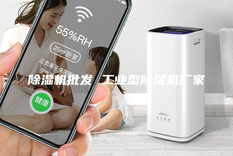 除濕機批發(fā) 工業(yè)型除濕機廠家