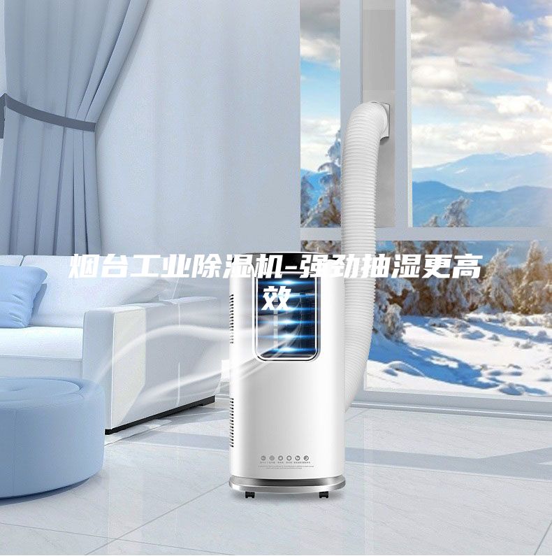 煙臺工業(yè)除濕機(jī)-強(qiáng)勁抽濕更高效
