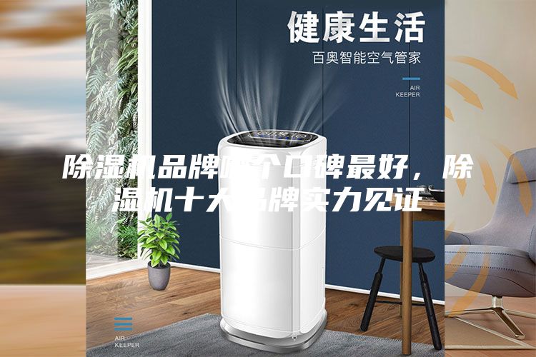 除濕機品牌哪個口碑最好，除濕機十大品牌實力見證