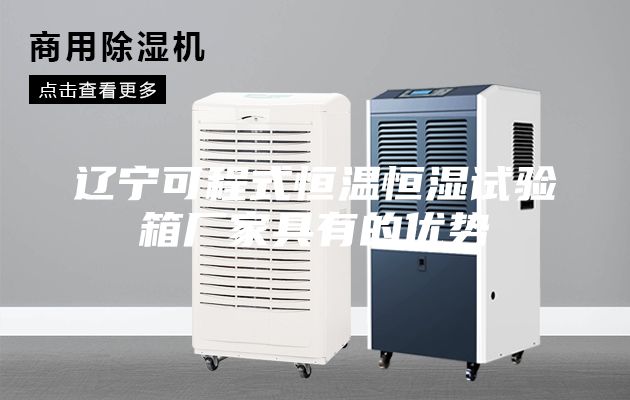 遼寧可程式恒溫恒濕試驗(yàn)箱廠家具有的優(yōu)勢(shì)