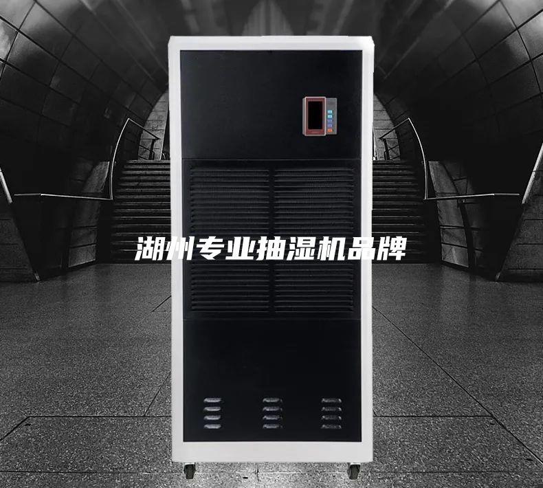 湖州專業(yè)抽濕機品牌