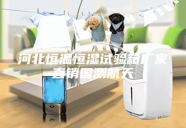 河北恒溫恒濕試驗箱廠家直銷國測航天