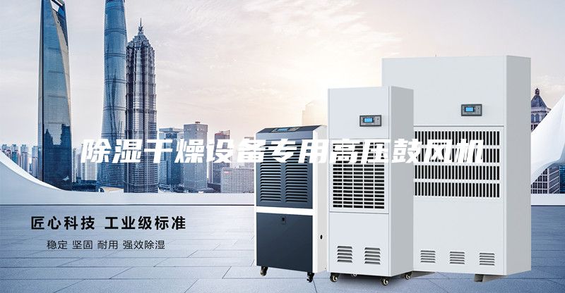 除濕干燥設(shè)備專用高壓鼓風(fēng)機