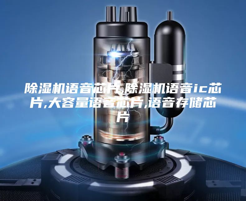 除濕機語音芯片,除濕機語音ic芯片,大容量語音芯片,語音存儲芯片