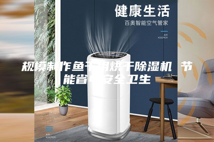 規(guī)模制作魚干用烘干除濕機 節(jié)能省電安全衛(wèi)生